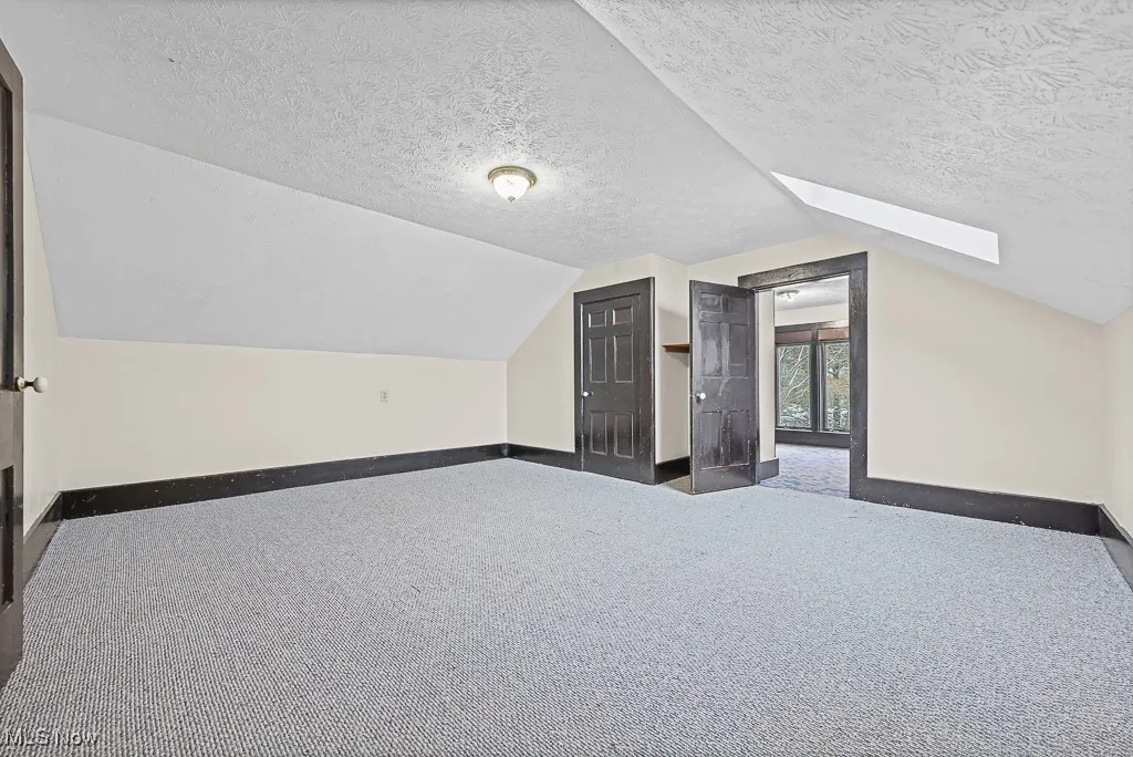 Additional living space with lofted ceiling, carpet flooring, a skylight, and a textured ceiling