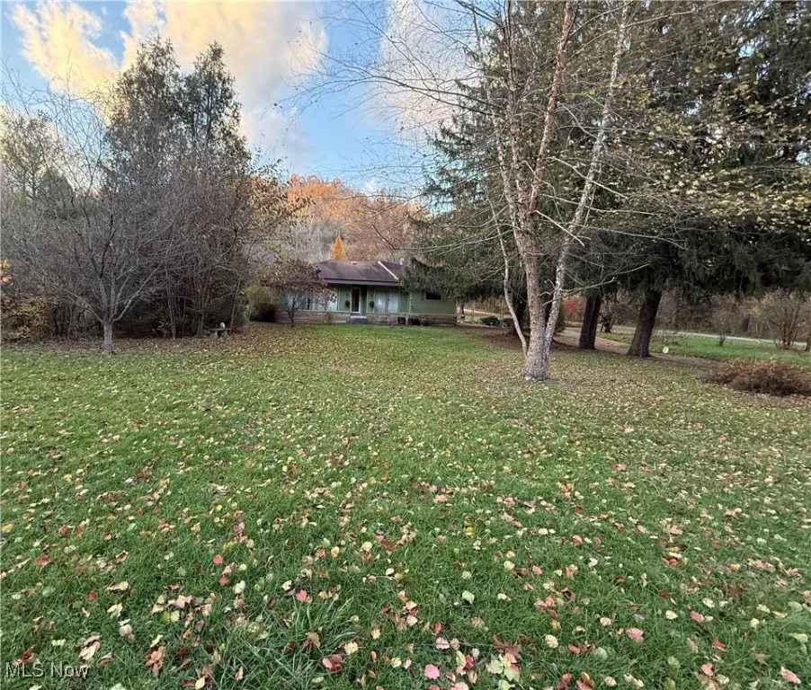 53363 Pike Street, Bellaire, Ohio 43906,MLS Now Listing ID