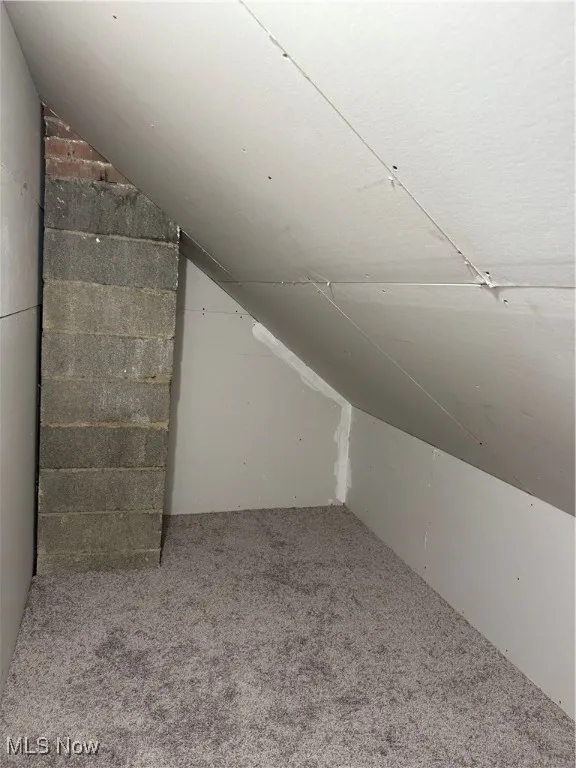 Additional living space featuring carpet flooring and vaulted ceiling