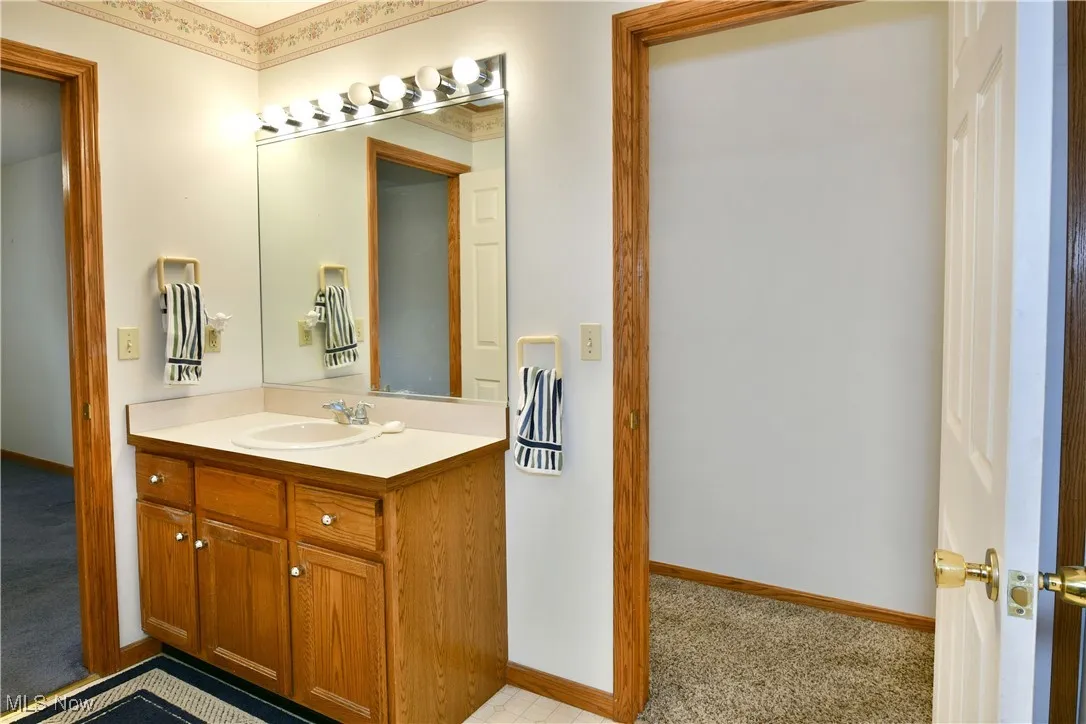 Bathroom with vanity and carpet
