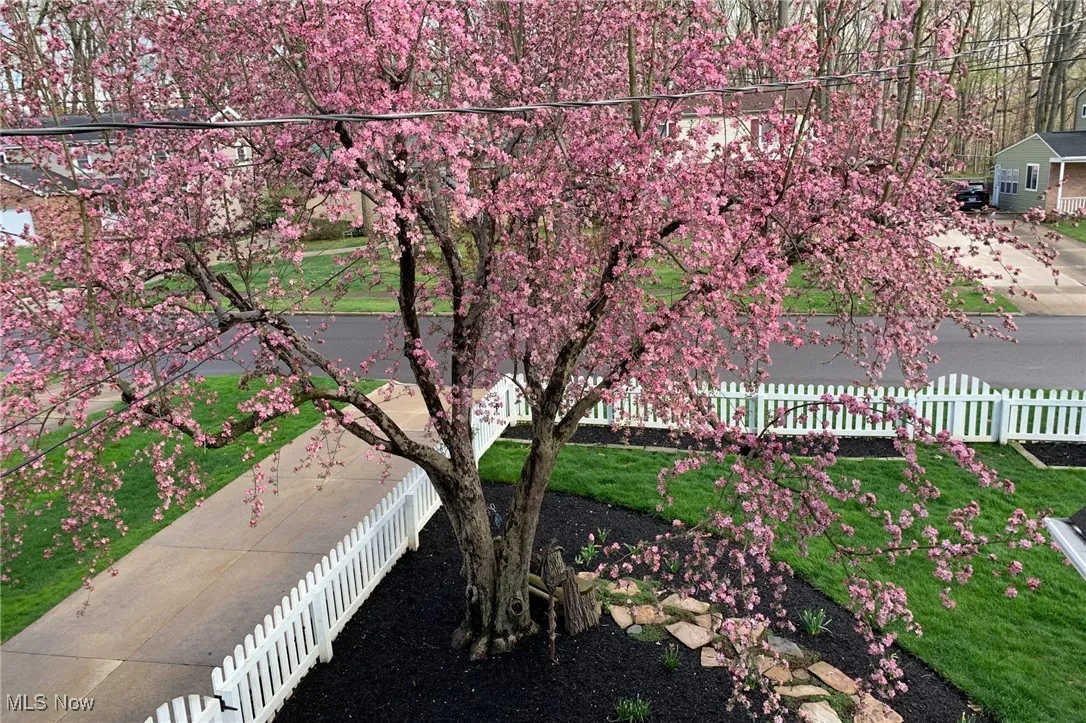 850 Cliffside Drive, Akron, Ohio 44313,MLS Now Listing ID