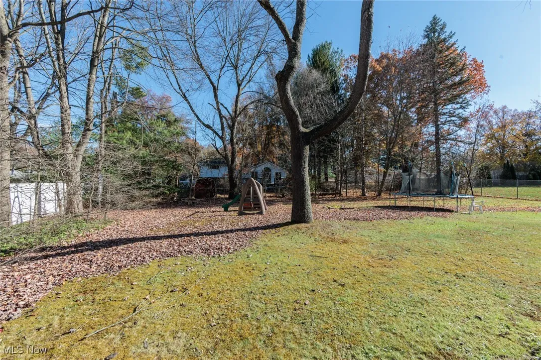 View of grassy yard featuring a trampoline and view of scattered trees