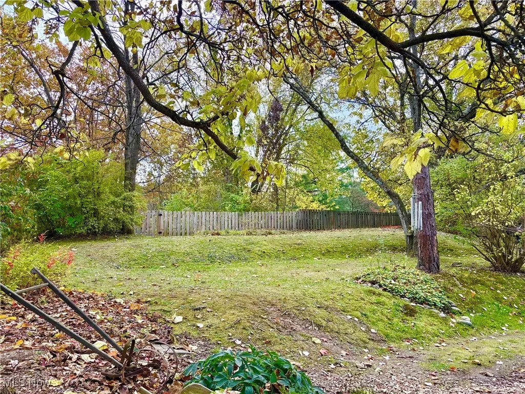 First area of back yard