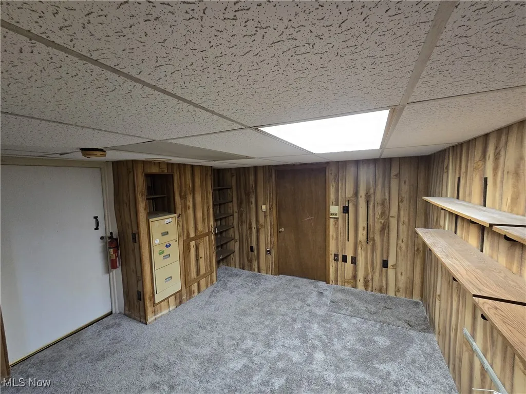 Finished below grade area with a paneled ceiling, carpet, wood walls, and a heating unit