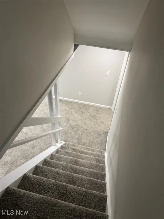 Stairs with carpet