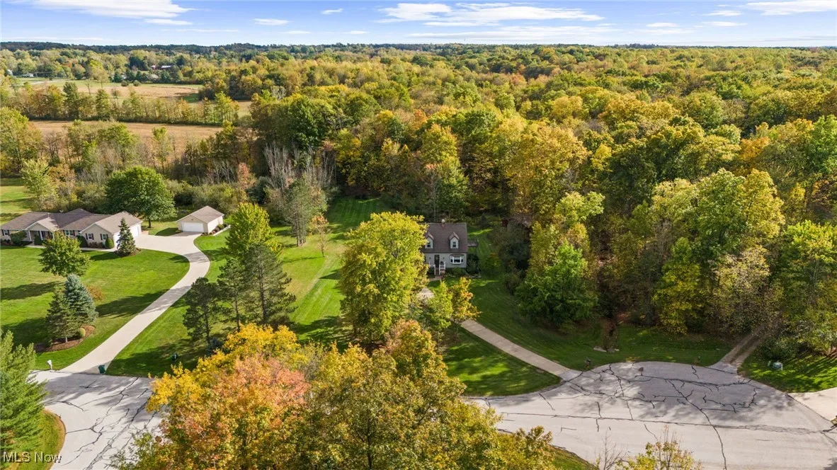 Aerial view of a forest