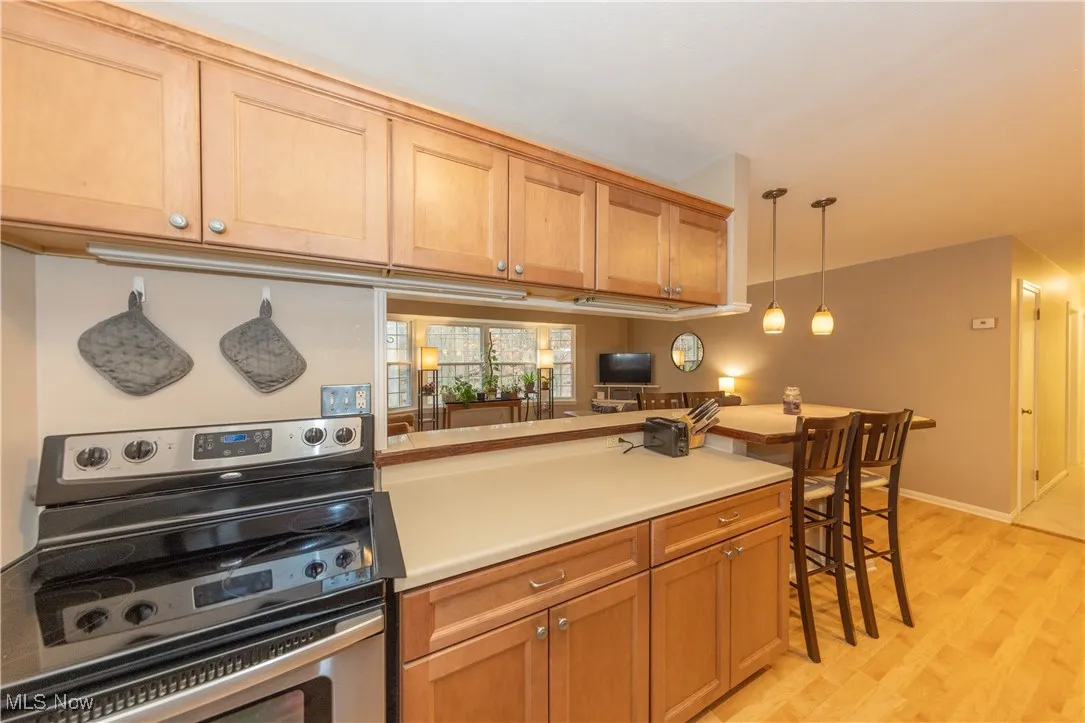 7000 Carriage Hill Drive # 203, Brecksville, Ohio 44141,MLS Now Listing ID