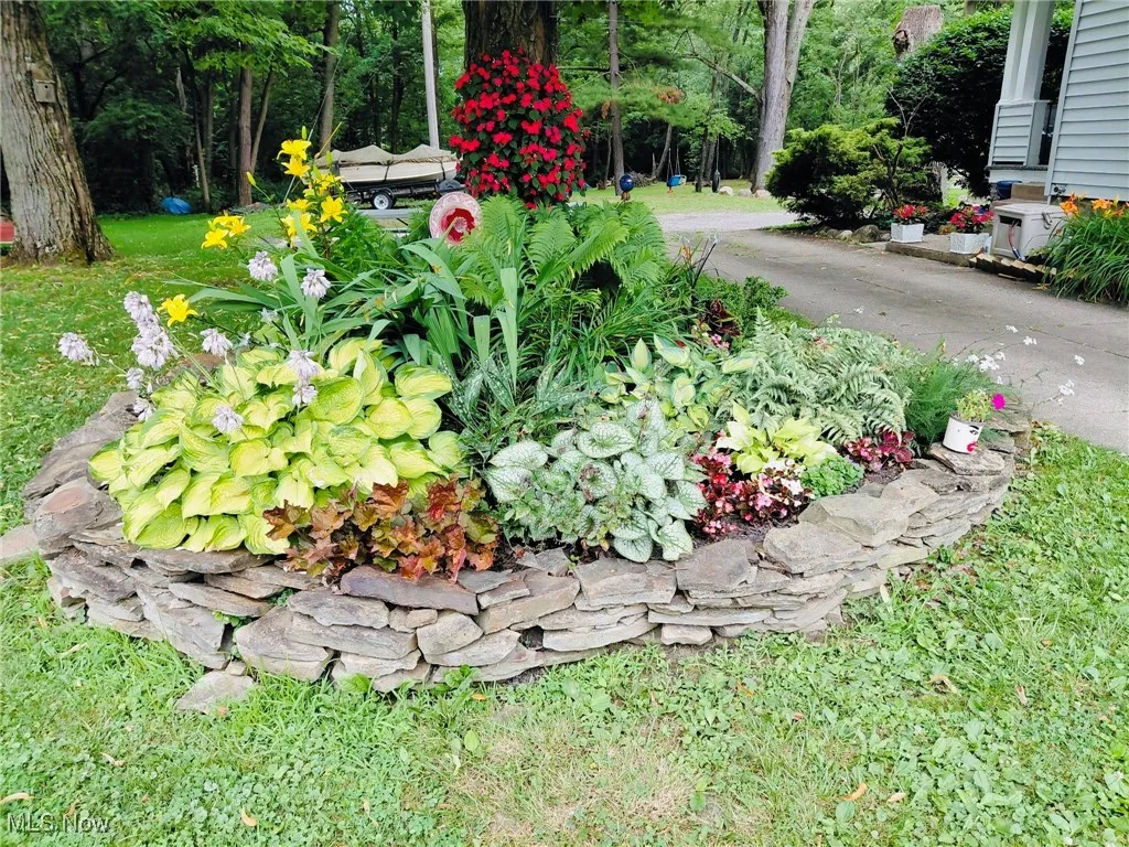 View of your flowers in bloom!