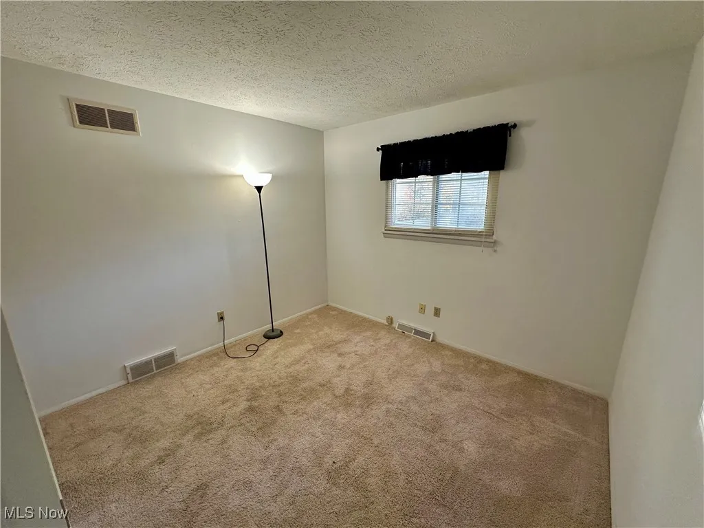 Unfurnished room featuring carpet floors and a textured ceiling
