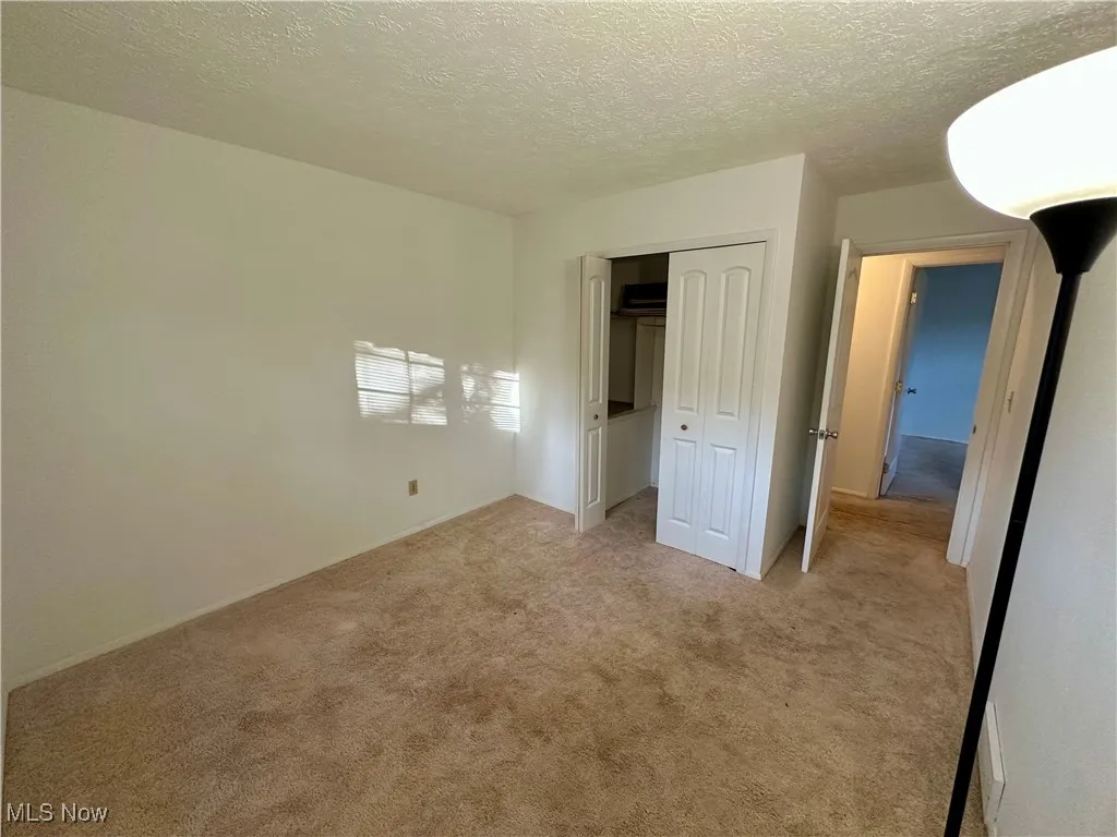 Unfurnished bedroom featuring a textured ceiling, light carpet, and a closet