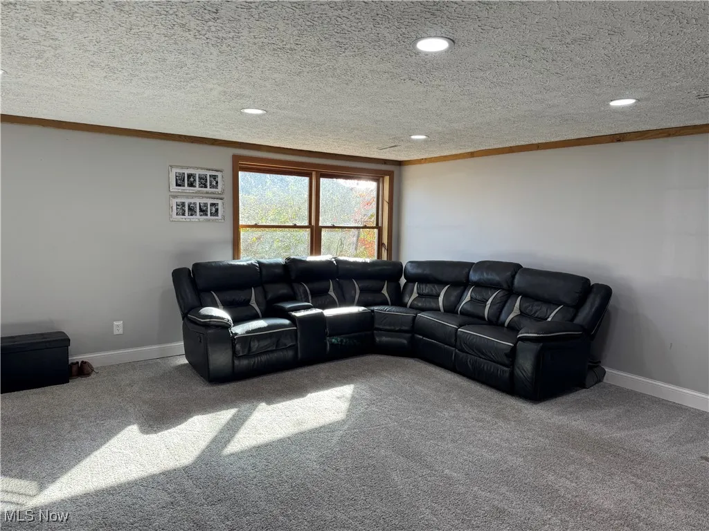 Carpeted living area with a textured ceiling, ornamental molding, and recessed lighting