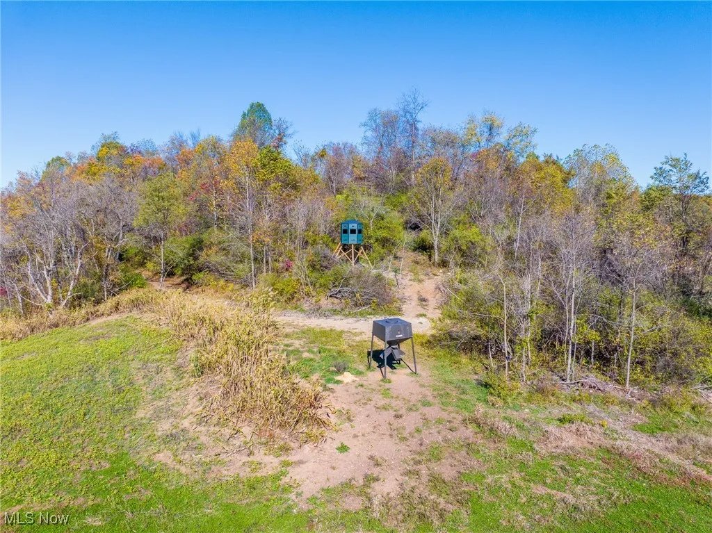 Kinnen Road, Caldwell, Ohio 43724,MLS Now Listing ID