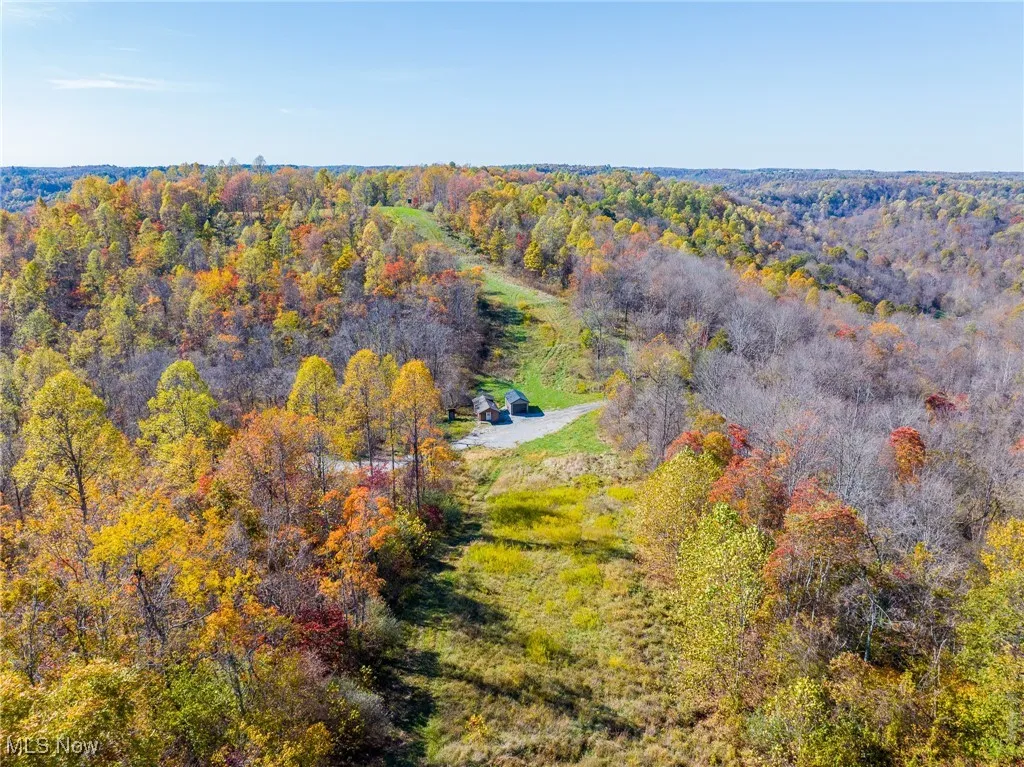 Drone / aerial view of a forest