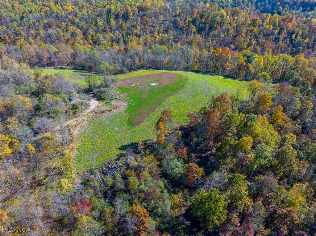 Aerial view of property's location featuring a forest