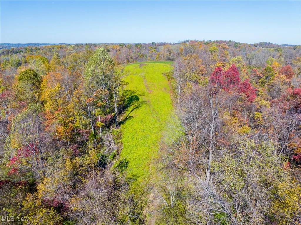 Bird's eye view of a heavily wooded area