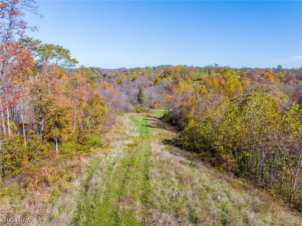 Drone / aerial view of a heavily wooded area