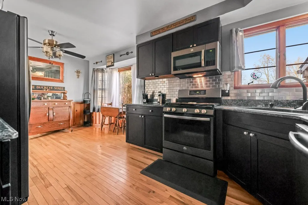 Kitchen with appliances with stainless steel finishes, dark cabinetry, backsplash, and light wood-style floors