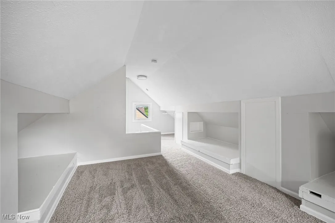 Bonus room featuring carpet, vaulted ceiling, and a textured ceiling