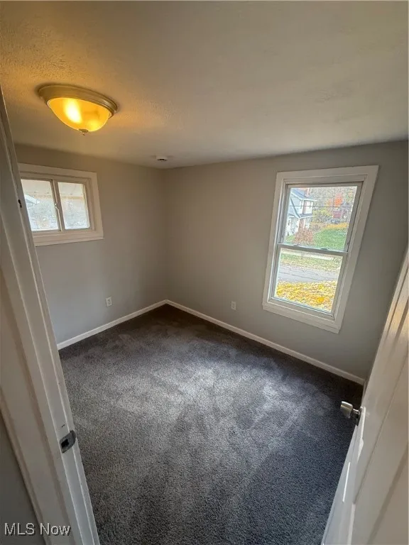 Carpeted spare room featuring healthy amount of natural light