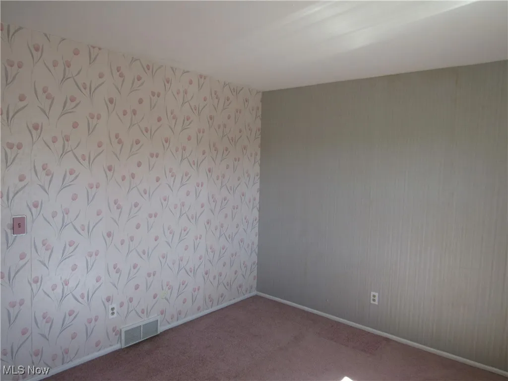 Carpeted empty room with baseboards