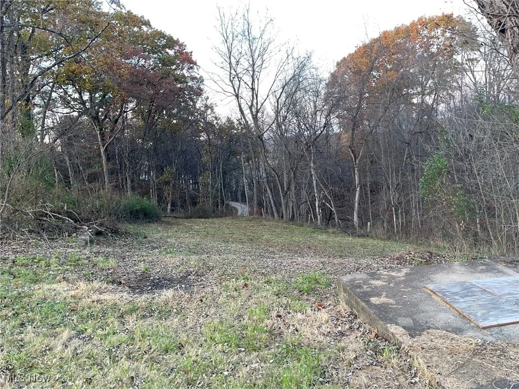 2231 Blennerhassett Heights, Parkersburg, West Virginia 26101,MLS Now Listing ID