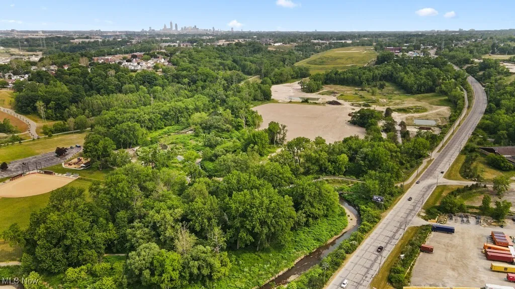 Drone / aerial view of a tree filled landscape