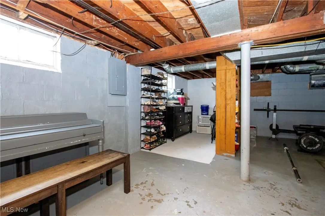 Basement with electric panel