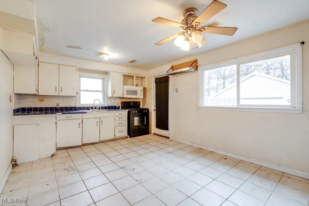 4276 Grove Avenue, Willoughby, Ohio 44094,MLS Now Listing ID