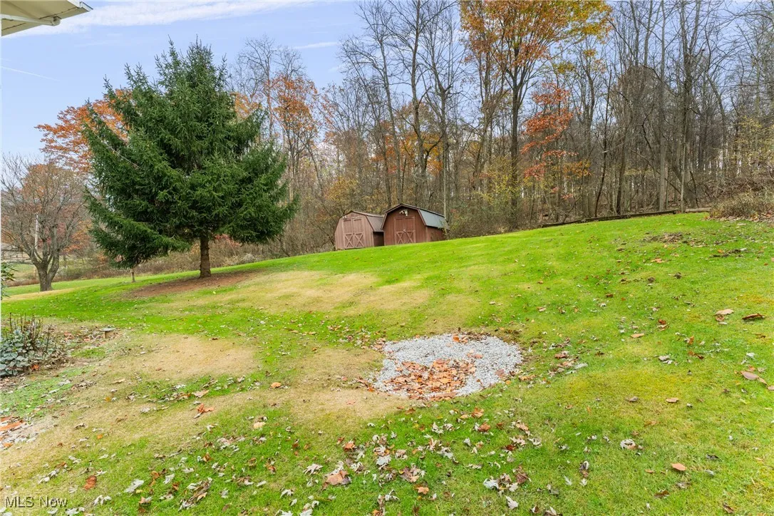 View of green lawn with two storage sheds