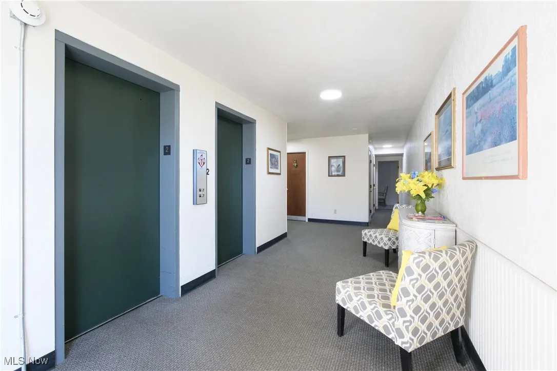 Hallway featuring elevator and carpet floors