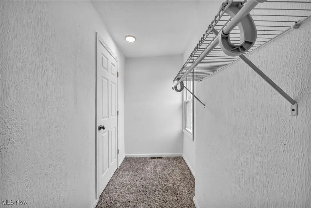 Spacious closet featuring light colored carpet