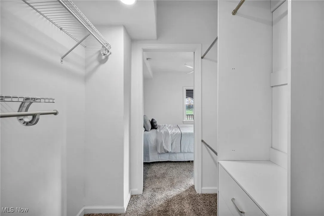 Spacious closet featuring carpet floors