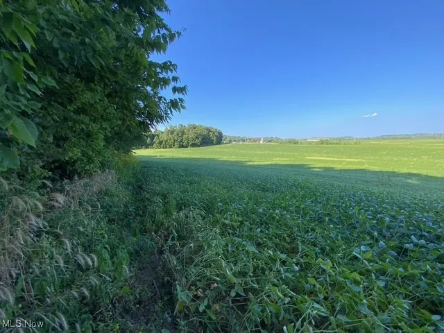 View of local wilderness with rural landscape
