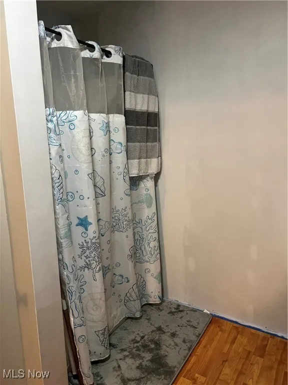 Bathroom featuring wood finished floors and a shower with curtain