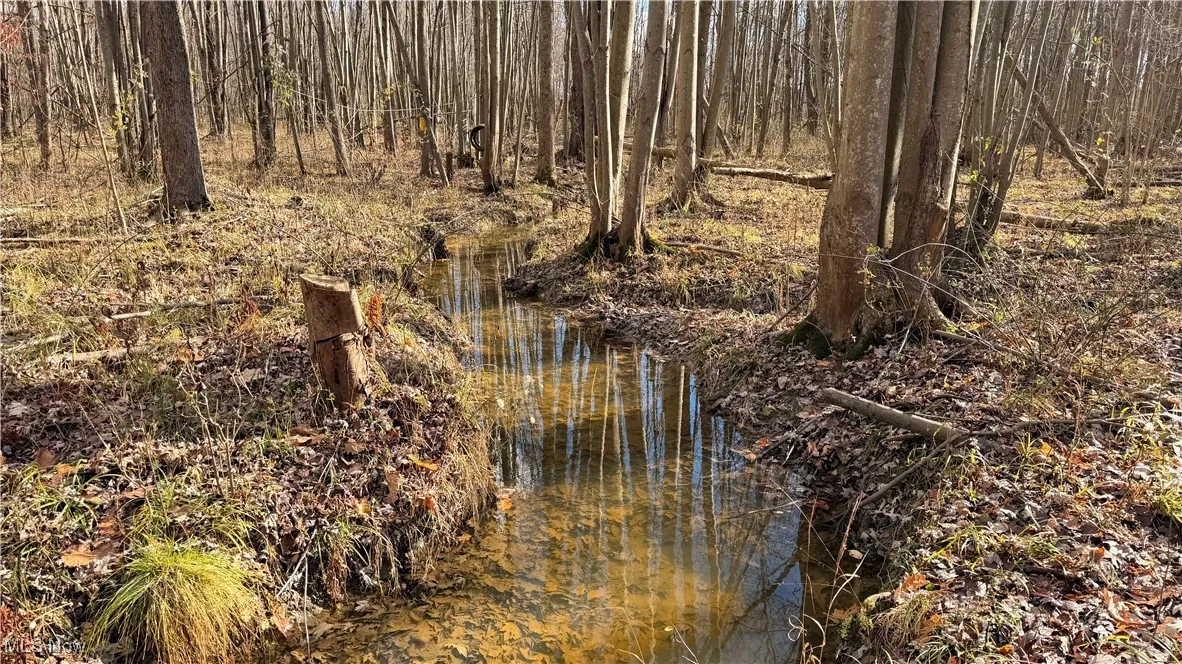 2119 Hayford Road, Rock Creek, Ohio 44084,MLS Now Listing ID