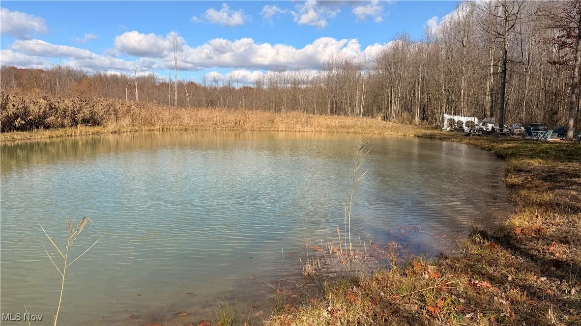 2119 Hayford Road, Rock Creek, Ohio 44084,MLS Now Listing ID