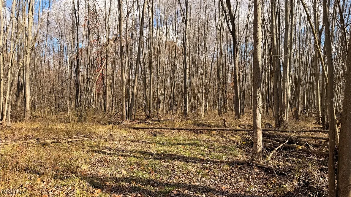 2119 Hayford Road, Rock Creek, Ohio 44084,MLS Now Listing ID