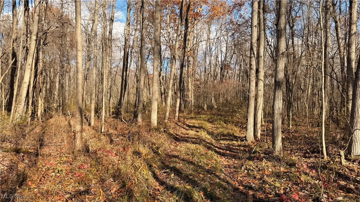 2119 Hayford Road, Rock Creek, Ohio 44084,MLS Now Listing ID