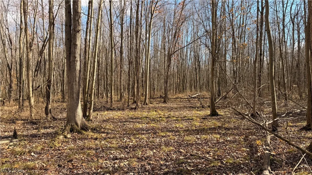 2119 Hayford Road, Rock Creek, Ohio 44084,MLS Now Listing ID