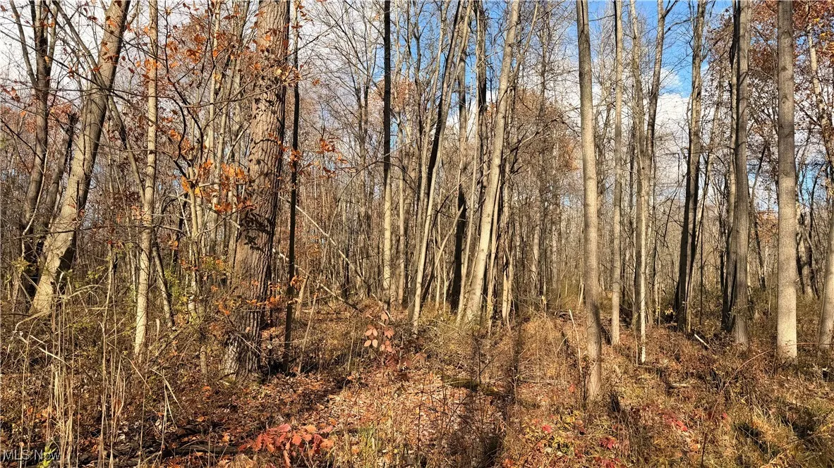 2119 Hayford Road, Rock Creek, Ohio 44084,MLS Now Listing ID