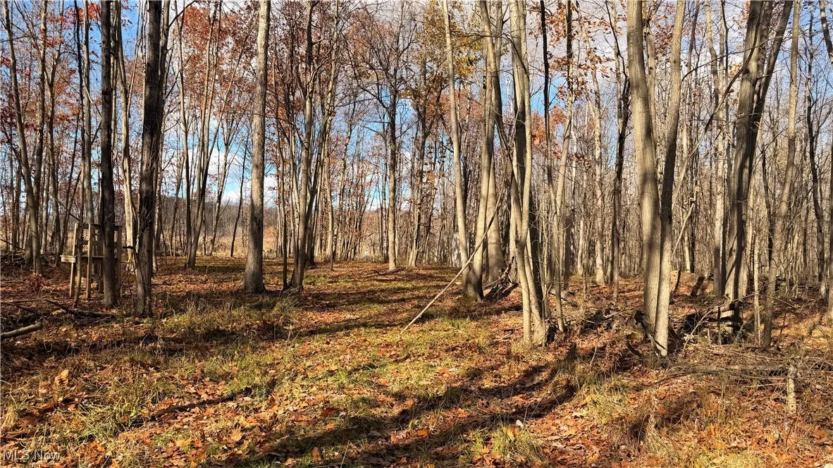 2119 Hayford Road, Rock Creek, Ohio 44084,MLS Now Listing ID