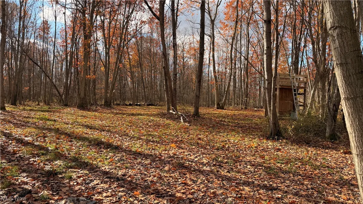 2119 Hayford Road, Rock Creek, Ohio 44084,MLS Now Listing ID