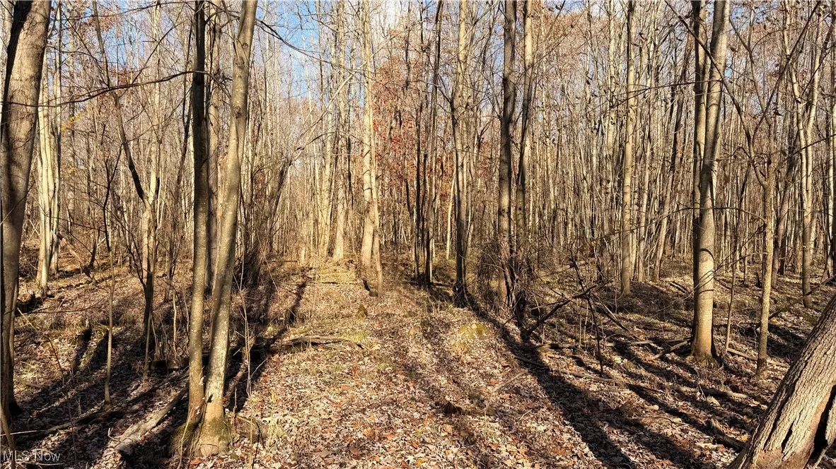 2119 Hayford Road, Rock Creek, Ohio 44084,MLS Now Listing ID