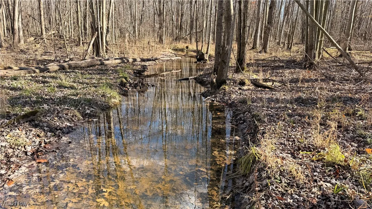 2119 Hayford Road, Rock Creek, Ohio 44084,MLS Now Listing ID