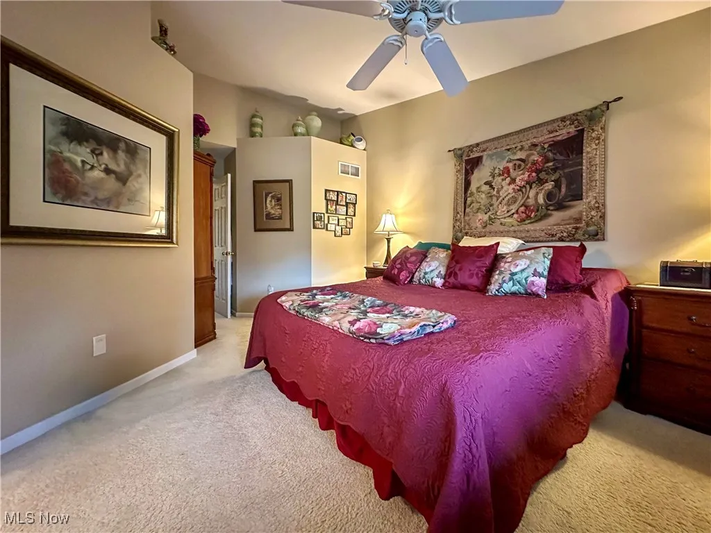 255 S Linden Court, Warren, Ohio 44484,MLS Now Listing ID