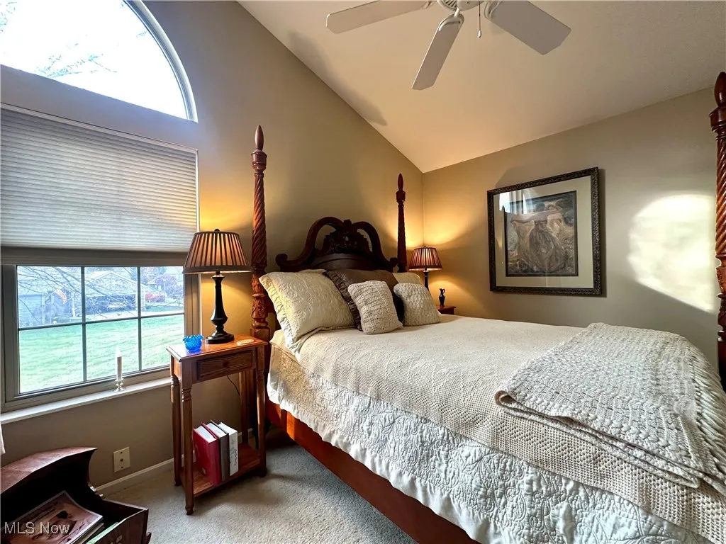 255 S Linden Court, Warren, Ohio 44484,MLS Now Listing ID