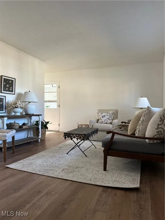Living room featuring LVF floors and a textured ceiling