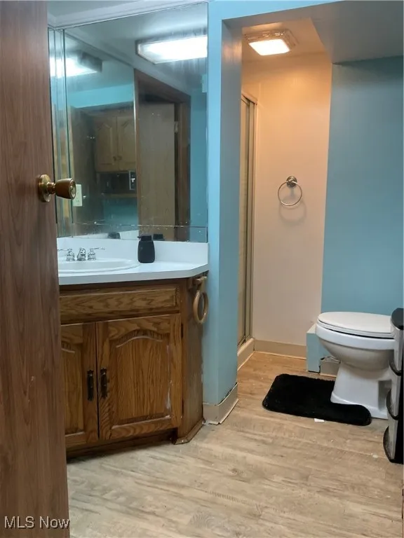 Bathroom featuring vanity, light wood finished floors, and a shower stall