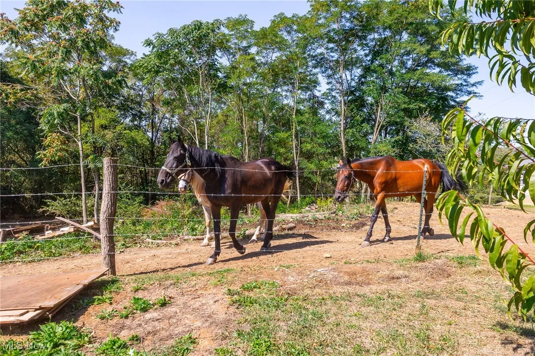 40995 Hanover Ridge Road, Jewett, Ohio 43986,MLS Now Listing ID