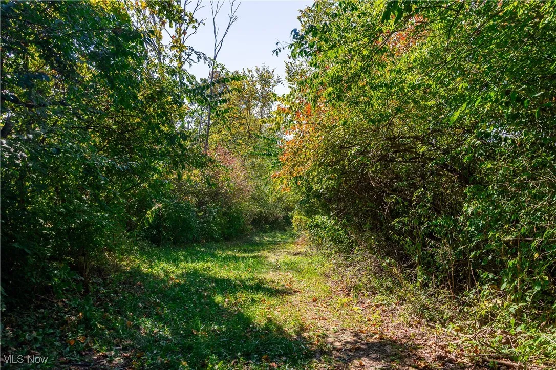 40995 Hanover Ridge Road, Jewett, Ohio 43986,MLS Now Listing ID